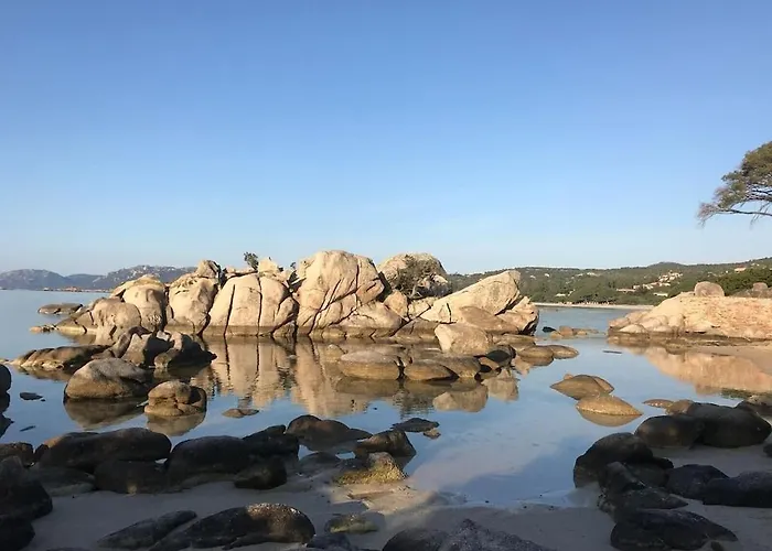 Corsacasa In Palombaggia Sea View *