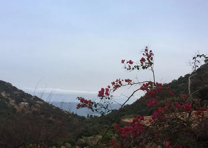 Casa vacanze Corsacasa In Palombaggia Sea View