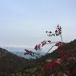 度假居 Corsacasa In Palombaggia Sea View