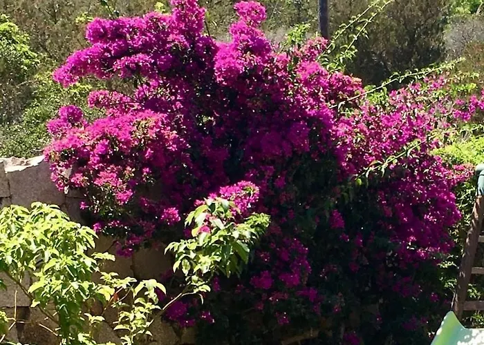 بيت للعطل Corsacasa In Palombaggia Sea View بورتو فيكشْيو