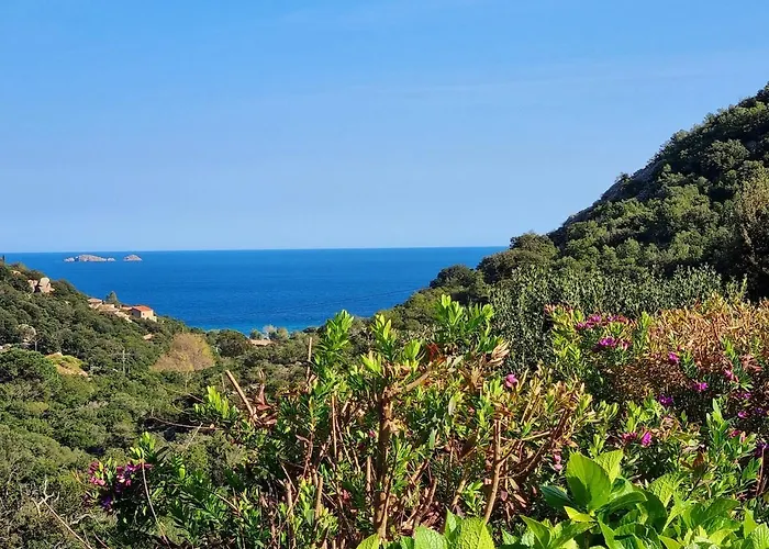 Corsacasa In Palombaggia Sea View بورتو فيكشْيو